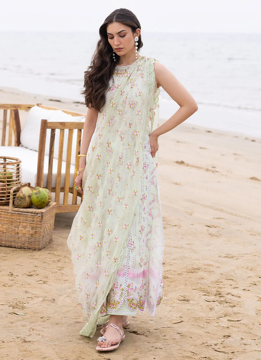 Eid Prints 24 - Kai Shirt With Pre-Draped Dupatta