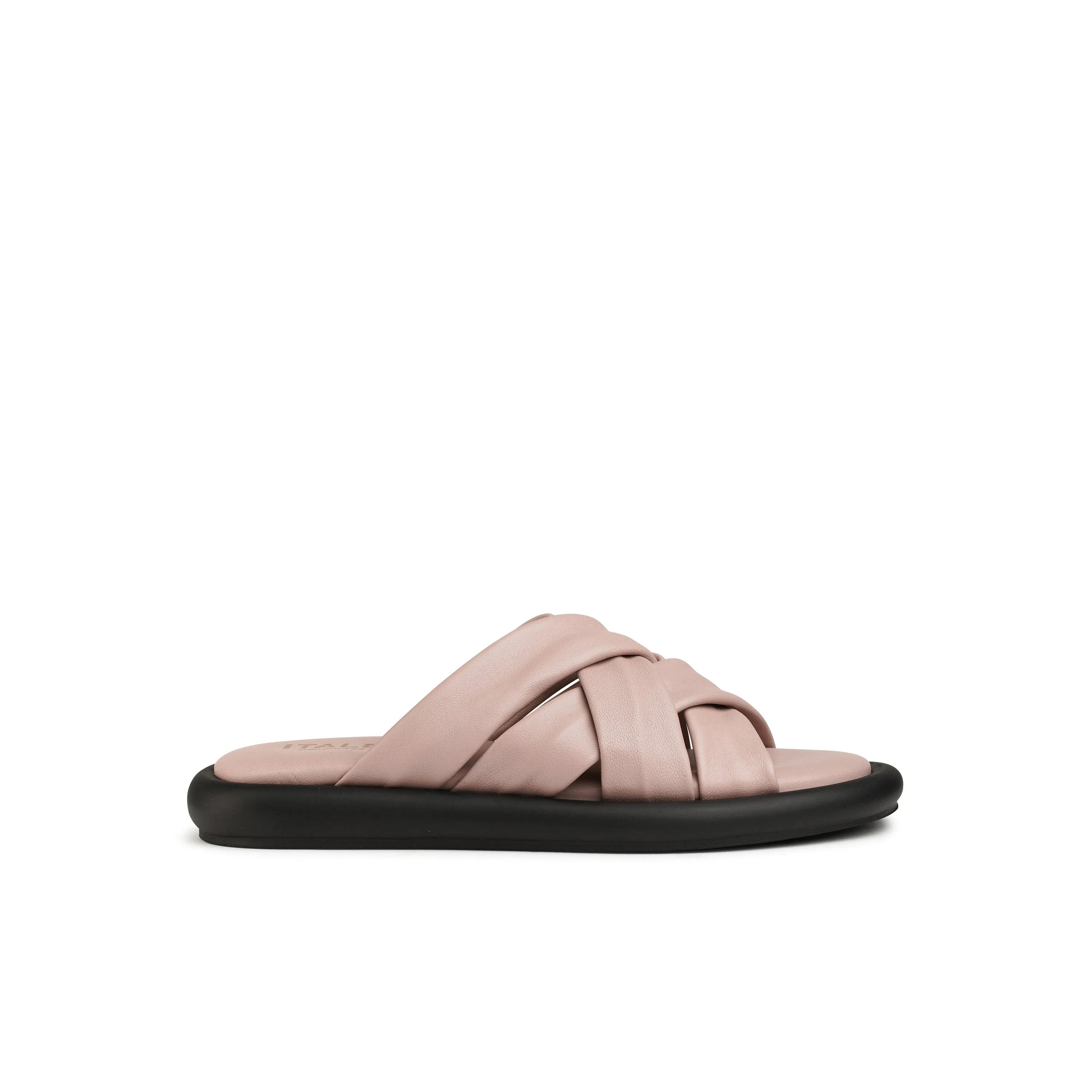 Gilda Slides Taffy